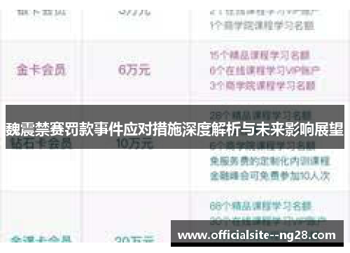 魏震禁赛罚款事件应对措施深度解析与未来影响展望